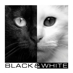 Black & White | Logo