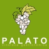 Palato
