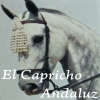 El Capricho Andaluz