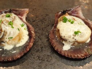 Terreo Cocina Casual