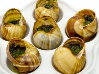 Le Vin Rouge Maître-Cavista